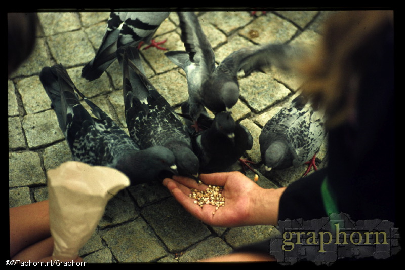 01.jt.1973 (juni)ams#b8_15.jpg