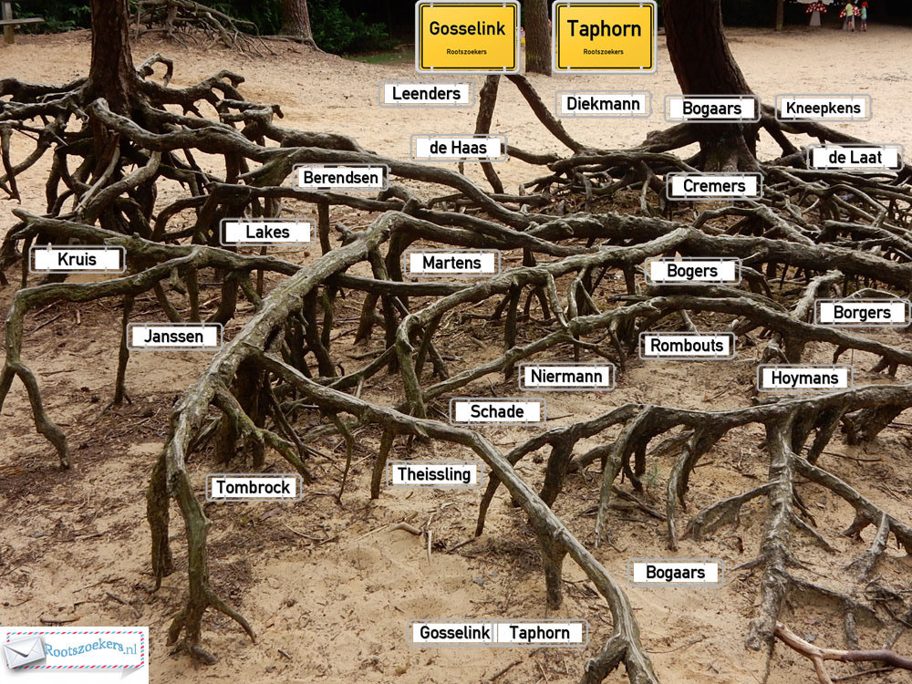 Verwanten & Naamgenoten